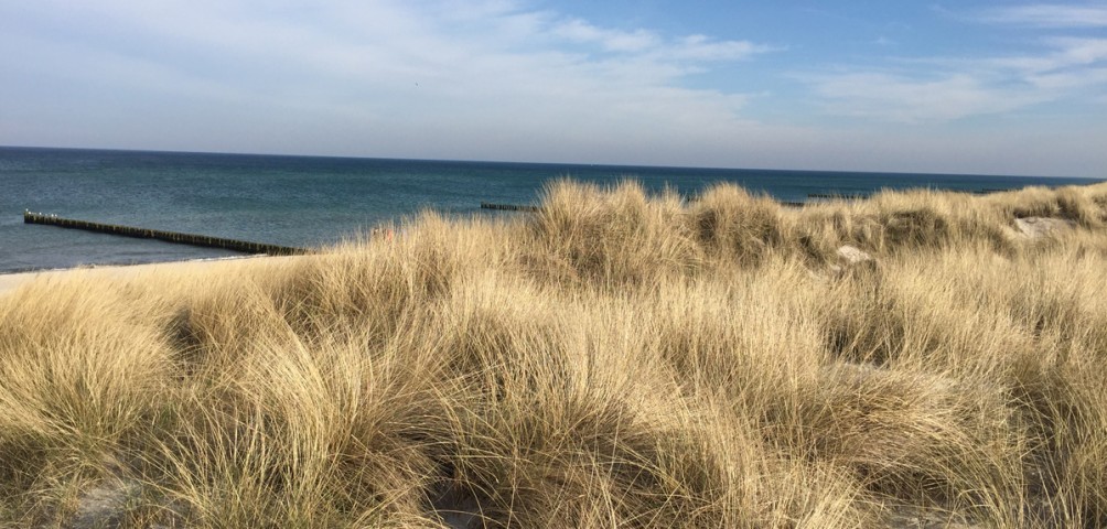 Dünen Dierhagen