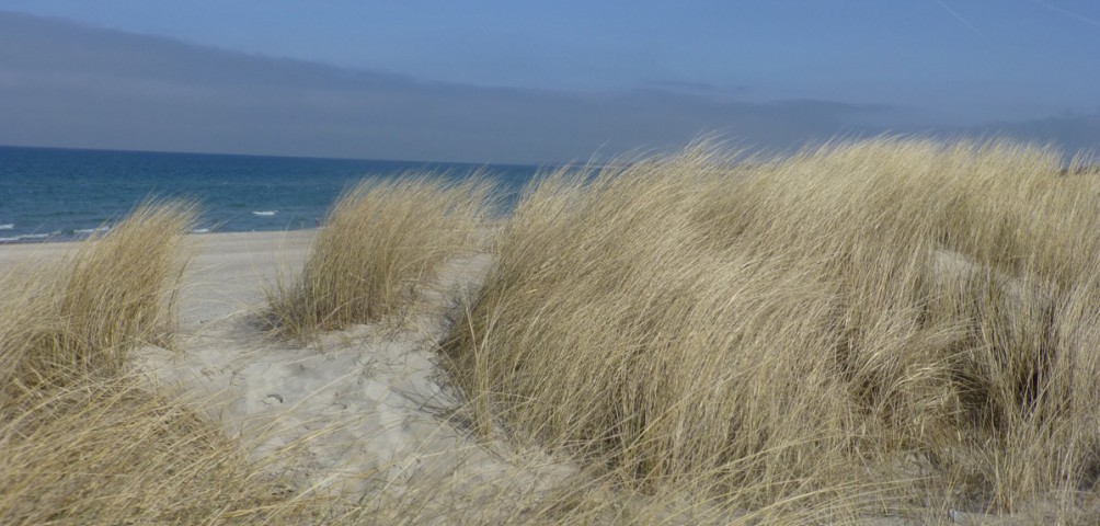 Dünen Ostsee